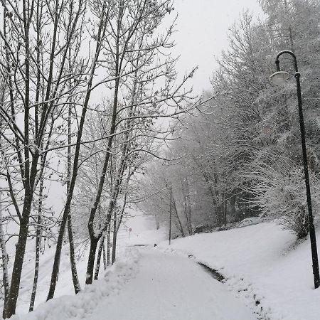 Appartamento Bellavista Cavalese Dış mekan fotoğraf