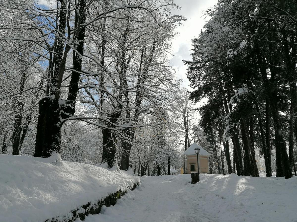 Appartamento Bellavista Cavalese Dış mekan fotoğraf