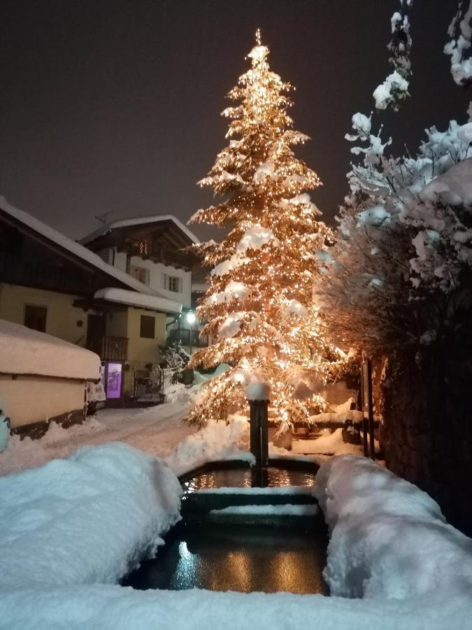 Appartamento Bellavista Cavalese Dış mekan fotoğraf